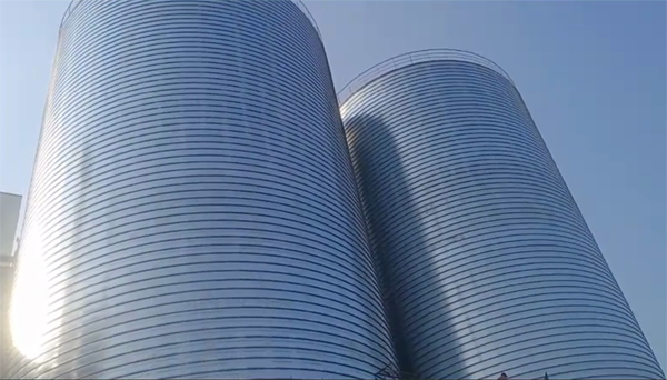 盐都2座混凝土高架卷板仓